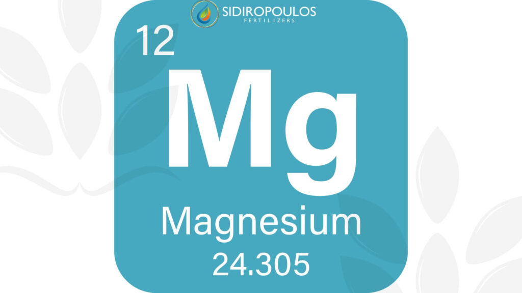 Εικόνα με το στοιχείο του μαγνησίου